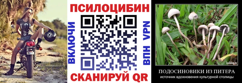 Псилоцибиновые грибы мицелий  Демидов 